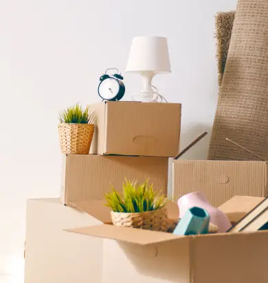 Stacked cardboard moving boxes with lamp, alarm clock and potted plants on top